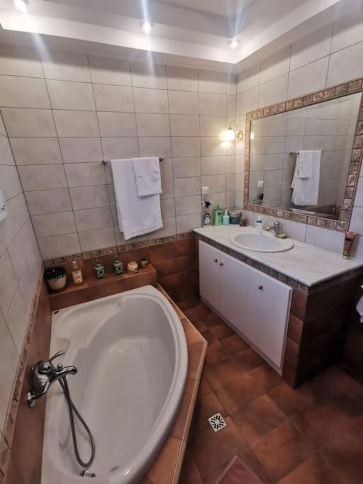 Mama'S House. 300M Απο Τον Μύλο Των Ξωτικών. Βίλα Τρίκαλα Εξωτερικό φωτογραφία