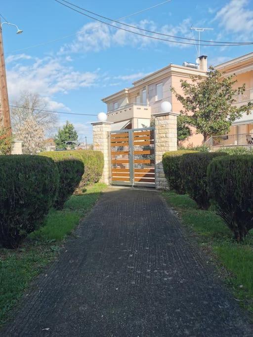 Mama'S House. 300M Απο Τον Μύλο Των Ξωτικών. Βίλα Τρίκαλα Εξωτερικό φωτογραφία