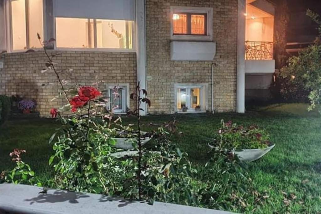 Mama'S House. 300M Απο Τον Μύλο Των Ξωτικών. Βίλα Τρίκαλα Εξωτερικό φωτογραφία